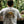 NEVER BORING SUMATRA TEE